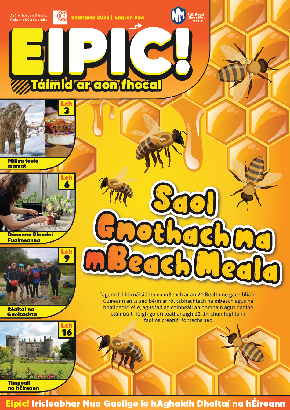 Eipic Primary School Magazine